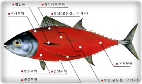 신선하게 보관된 참치 식재료